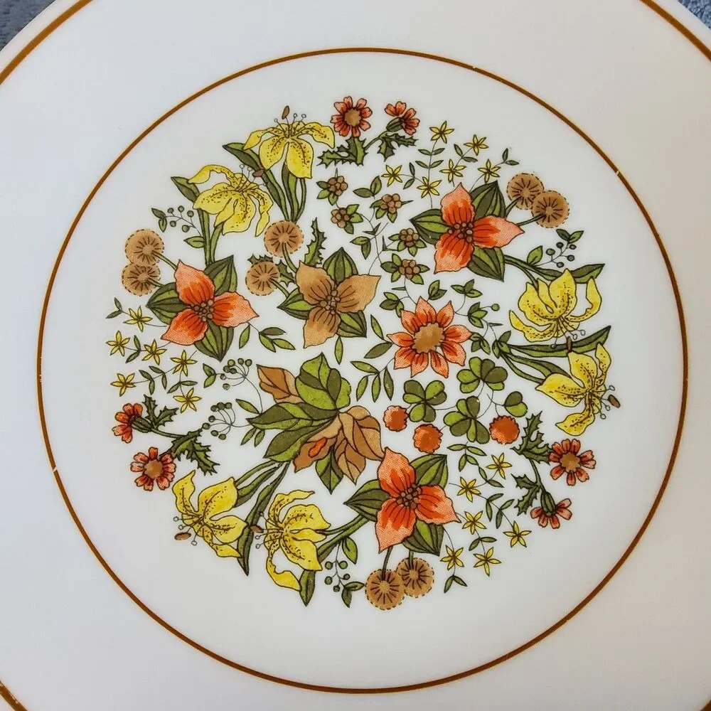 Vintage Corelle Indian Summer Luncheon Plate 8.75